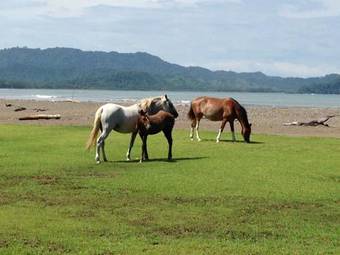 Lodge Hotel Mar Y Sol