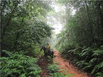 Hotel Rancho Corcovado