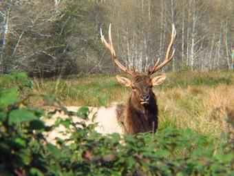 Trinidad Village Retreat 461