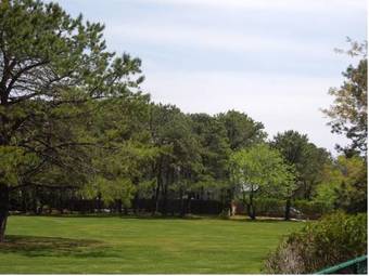 Hotel The Hampton Hamlet Inn