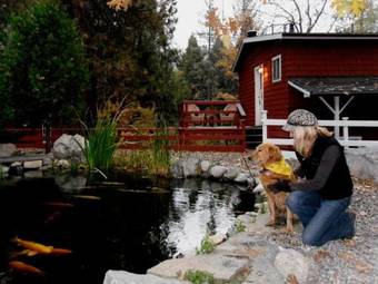 Posada Silver Pines Lodge