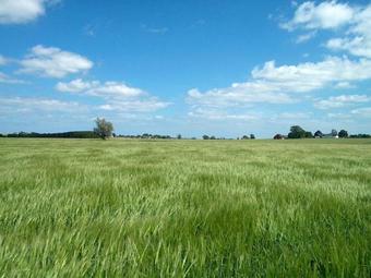 S�derg�rda �stra Bed & Breakfast