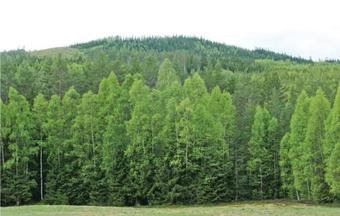 Holiday Home H�ljesv�gen H�ljes II