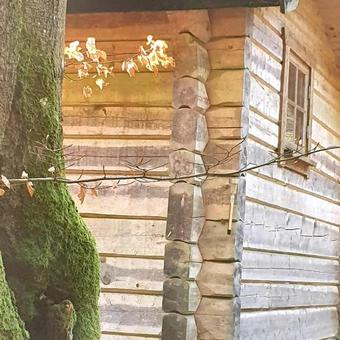 Bokebacken Forest Hotel