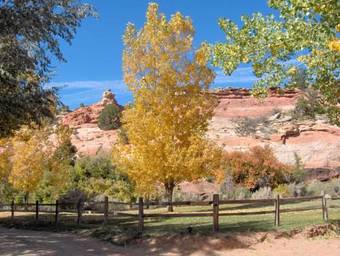 Kelly Place Bed & Breakfast