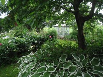 Apartamento Bj�rkas Mariehem Bed & Breakfast
