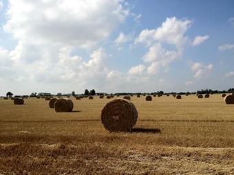 Hostal Stf Baskem�lla Hostel