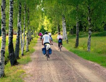 Skotteksg�rden Cottages