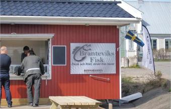 Three-bedroom Holiday Home In Brantevik