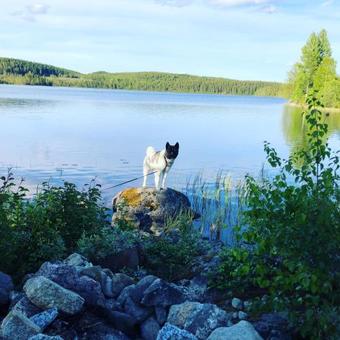 Holiday Home R�dvattnet