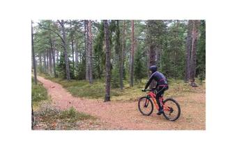 Four-bedroom Holiday Home In Rockneby