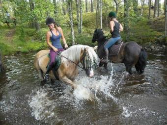 Bed & Breakfast G�strum Gnottnehult