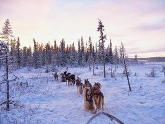 Lodge Aurora Camp Kurravaara