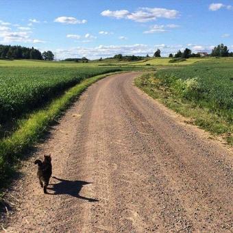 Bed & Breakfast Klefstad G�rd