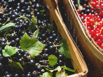 Bed & Breakfast Bagg� Skola