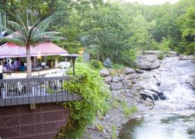 The Woodlands Inn, An Ascend Hotel Collection Member