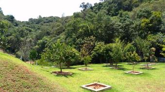 Chacara Em Monte Verde