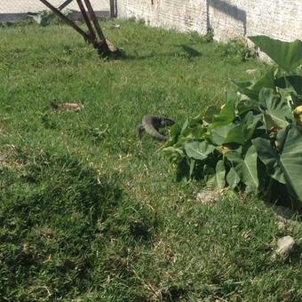 Hostal Pousada Villa Dal Ri