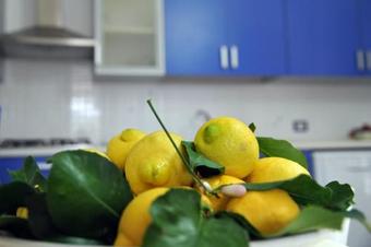 Cala Bernardo Apartment