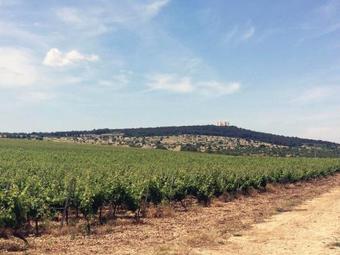 Agroturismo Ai Pilieri Di Bagnoli