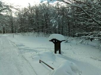 Apartamento La Casa Di Alice