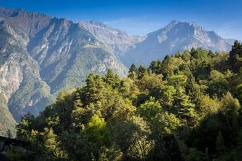 Agroturismo Rifugio Uschione