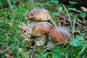 Apartamento La Casa Di Illary