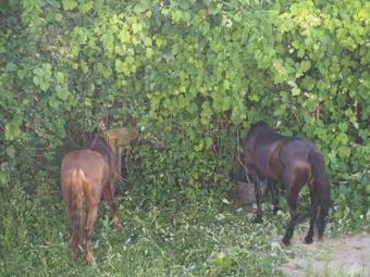 Hostal A Fonda Do Norte