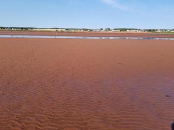 Blue Spruces Cottages