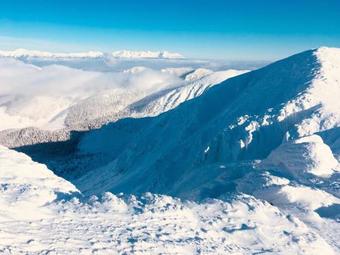 Apartamento Guest House Privat Pod Lesom