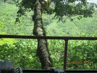 Hotel Vythiri Resort