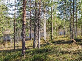 Holiday Home Kulpakko 2