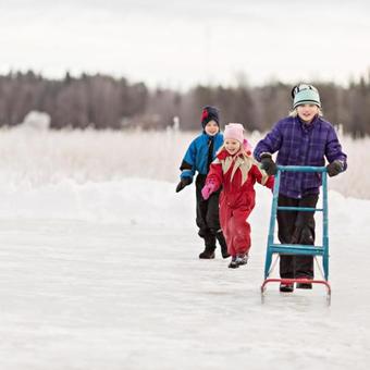 Bed & Breakfast Peltolan Luomutila