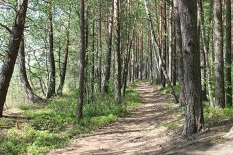 Hostal Chalet Drozd