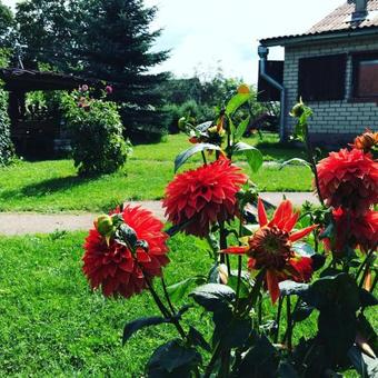 Agroturismo Usadba 4 Seasons