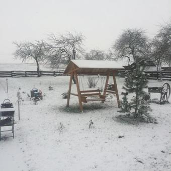 Ver fotos
