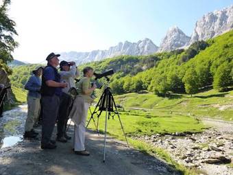 Metsola Apartamentos Rurales