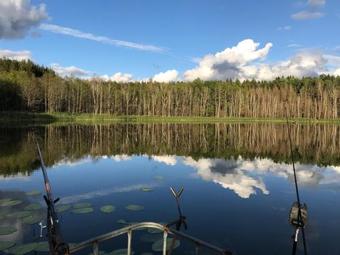 " Usad'ba Na Lesnoi"