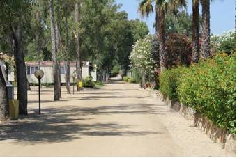 Camping Cigno Bianco