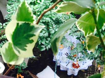 Bed & Breakfast Le Foglie Di Acanto