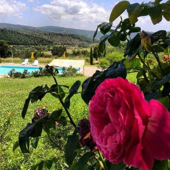 Agroturismo Podere I Massoni