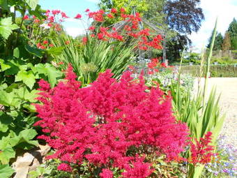 The Yellow House B&B