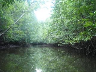 Hotel The Krabi Forest Homestay