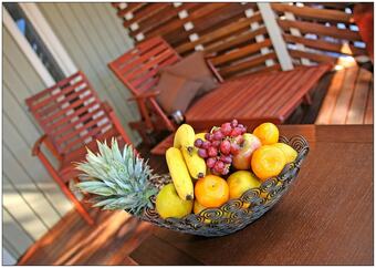Hotel Mungo Lodge