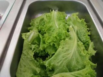 Hostal Pousada Rodrigues