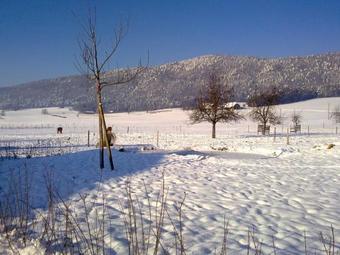 Bed & Breakfast H�tel-g�te Rural � 3 Km De Del�mont