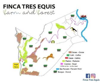 Finca Tres Equis - Farm And Forest