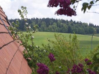 Apartamento Ferienwohnung Emelie