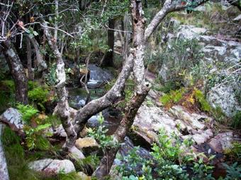Lodge Bateleur Nature Reserve