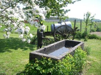 Bed & Breakfast B�cassine Et Ficelle